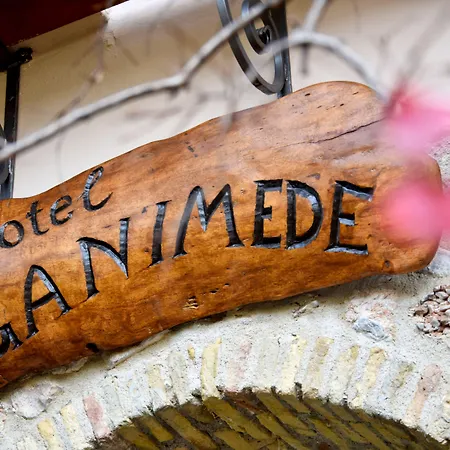 Hotel Ganimede Hotel, 3*