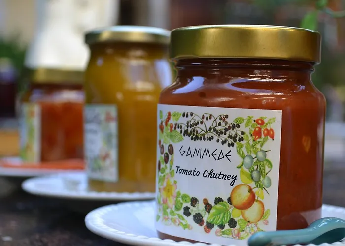 Ganimede Hotel, 3* Galaxídhion